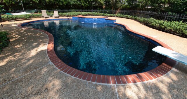 Natural swimming pool - Master Pools Guild