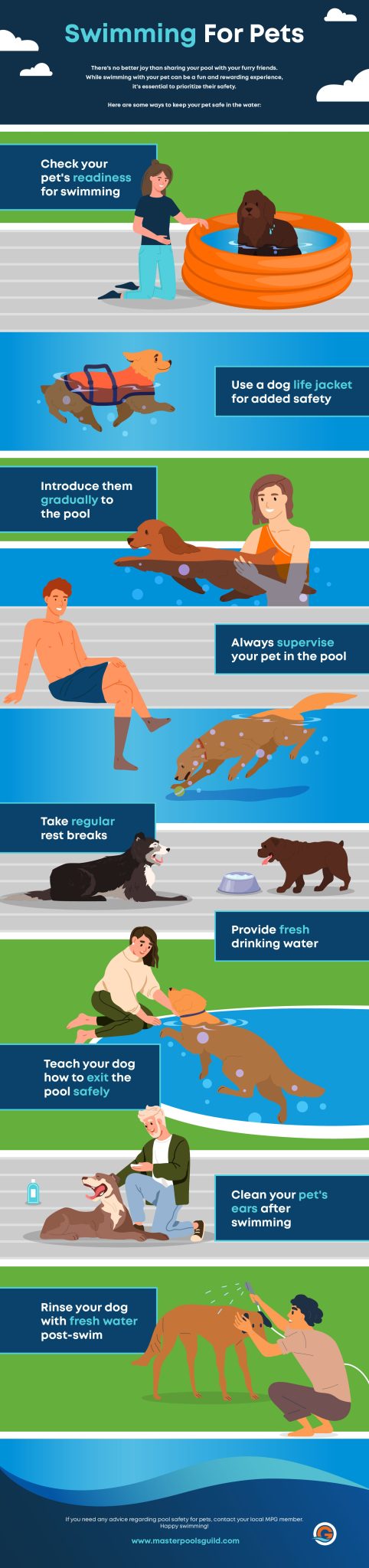 safe pool swimming for your pets